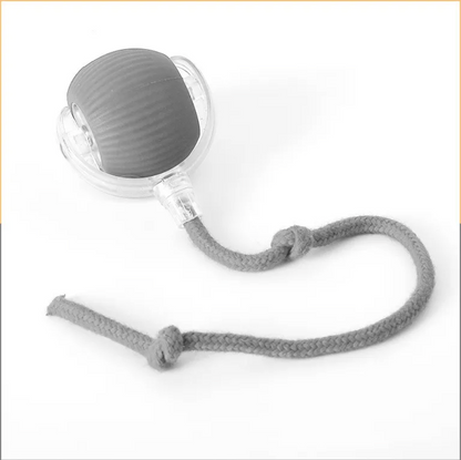 PlayPaw Smart Ball