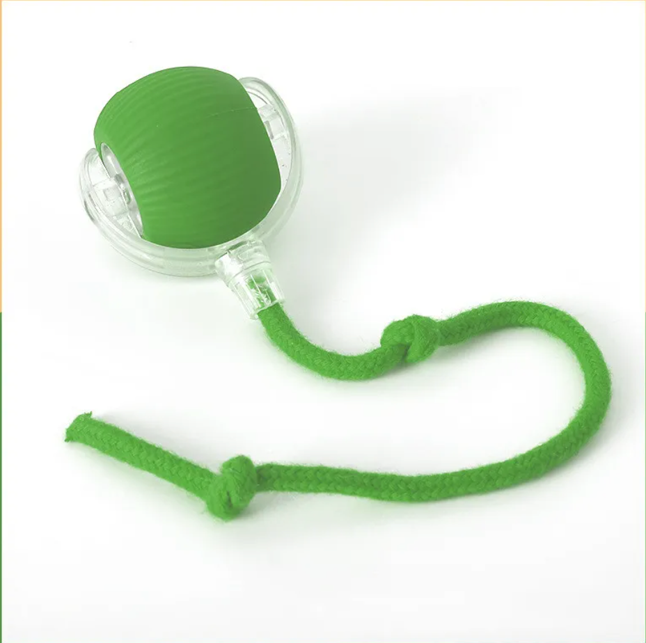 PlayPaw Smart Ball