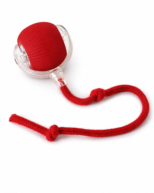 PlayPaw Smart Ball